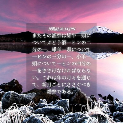 Picture 04 - 民数記 28:14 JPN - またその灌祭は雄牛一頭についてぶ - Bible Verse Picture