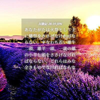 Picture 04 - 民数記 28:19 JPN - あなたがたは火祭として主に燔祭を - Bible Verse Picture