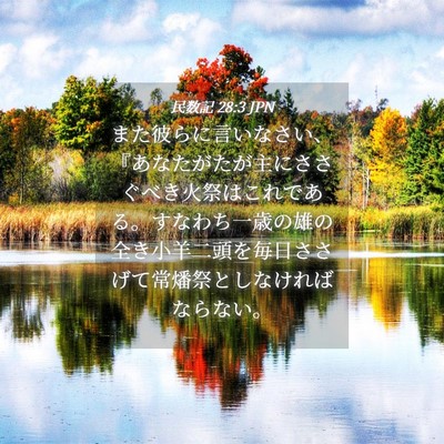 Picture 04 - 民数記 28:3 JPN - また彼らに言いなさい、『あなたが - Bible Verse Picture