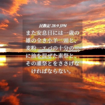 Picture 04 - 民数記 28:9 JPN - また安息日には一歳の雄の全き小羊 - Bible Verse Picture