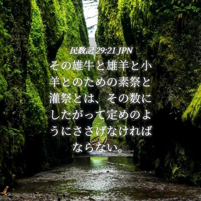 Picture 04 - 民数記 29:21 JPN - その雄牛と雄羊と小羊とのための素 - Bible Verse Picture