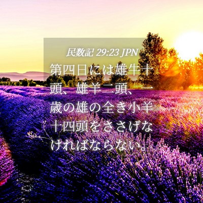 Picture 04 - 民数記 29:23 JPN - 第四日には雄牛十頭、雄羊二頭、一 - Bible Verse Picture