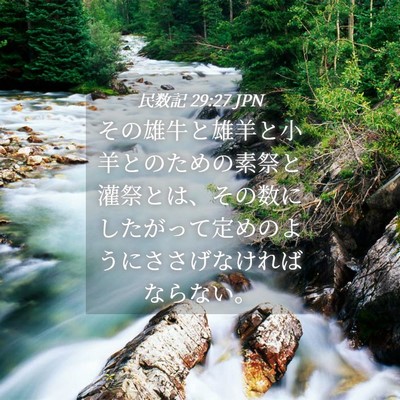 Picture 04 - 民数記 29:27 JPN - その雄牛と雄羊と小羊とのための素 - Bible Verse Picture