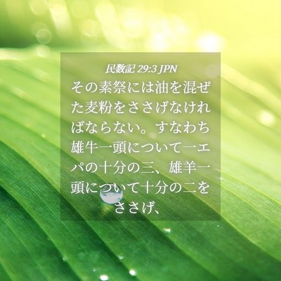 Picture 04 - 民数記 29:3 JPN - その素祭には油を混ぜた麦粉をささ - Bible Verse Picture