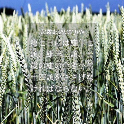 Picture 04 - 民数記 29:32 JPN - 第七日には雄牛七頭、雄羊二頭、一 - Bible Verse Picture
