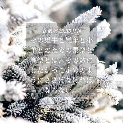 Picture 04 - 民数記 29:33 JPN - その雄牛と雄羊と小羊とのための素 - Bible Verse Picture