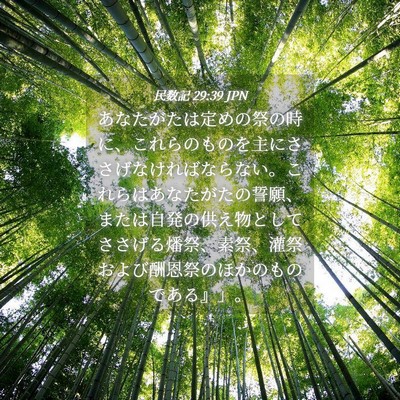 Picture 04 - 民数記 29:39 JPN - あなたがたは定めの祭の時に、これ - Bible Verse Picture