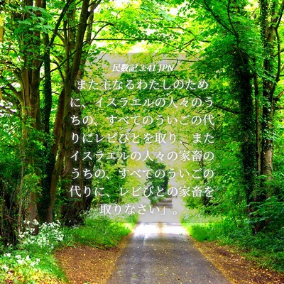 Picture 04 - 民数記 3:41 JPN - また主なるわたしのために、イスラ - Bible Verse Picture