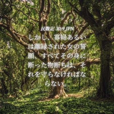 Picture 04 - 民数記 30:9 JPN - しかし、寡婦あるいは離縁された女 - Bible Verse Picture