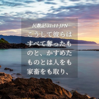 Picture 04 - 民数記 31:11 JPN - こうして彼らはすべて奪ったものと - Bible Verse Picture