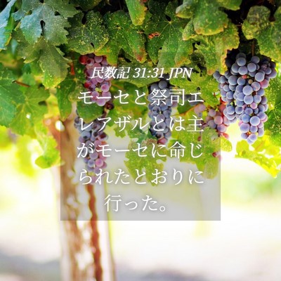 Picture 04 - 民数記 31:31 JPN - モーセと祭司エレアザルとは主がモ - Bible Verse Picture