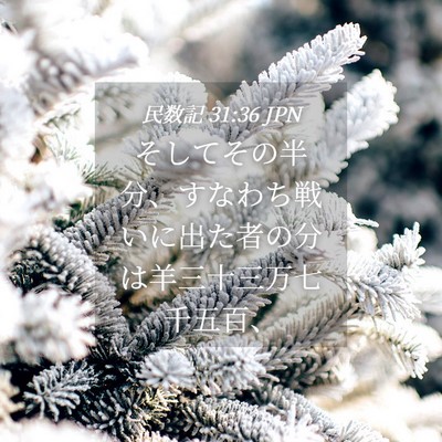 Picture 04 - 民数記 31:36 JPN - そしてその半分、すなわち戦いに出 - Bible Verse Picture