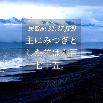 Picture 04 - 民数記 31:37 JPN - 主にみつぎとした羊は六百七十五。 - Bible Verse Picture