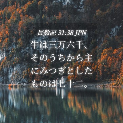Picture 04 - 民数記 31:38 JPN - 牛は三万六千、そのうちから主にみ - Bible Verse Picture