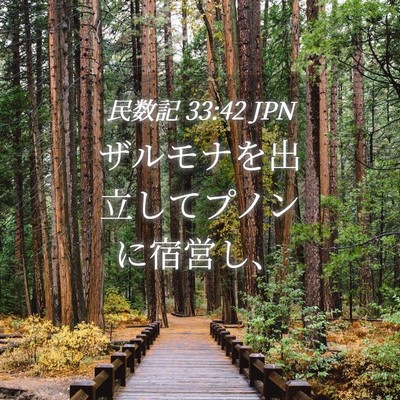 Picture 04 - 民数記 33:42 JPN - ザルモナを出立してプノンに宿営し - Bible Verse Picture