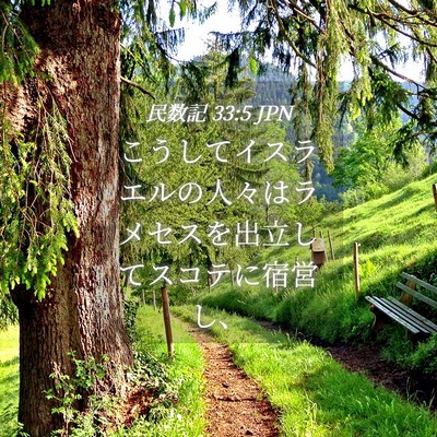 Picture 04 - 民数記 33:5 JPN - こうしてイスラエルの人々はラメセ - Bible Verse Picture