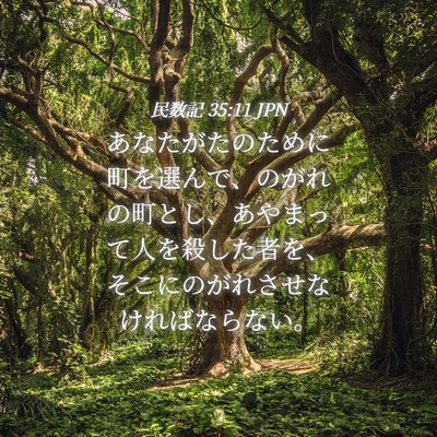 Picture 04 - 民数記 35:11 JPN - あなたがたのために町を選んで、の - Bible Verse Picture