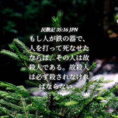 Picture 04 - 民数記 35:16 JPN - もし人が鉄の器で、人を打って死な - Bible Verse Picture