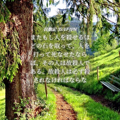 Picture 04 - 民数記 35:17 JPN - またもし人を殺せるほどの石を取っ - Bible Verse Picture