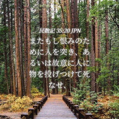 Picture 04 - 民数記 35:20 JPN - またもし恨みのために人を突き、あ - Bible Verse Picture