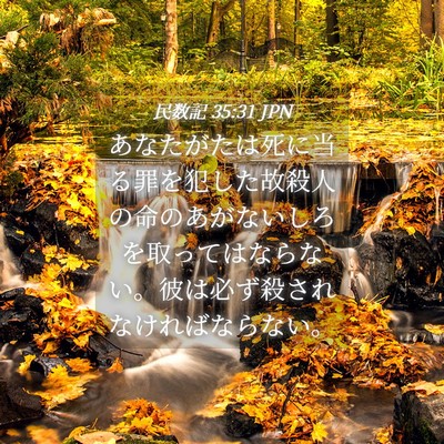 Picture 04 - 民数記 35:31 JPN - あなたがたは死に当る罪を犯した故 - Bible Verse Picture