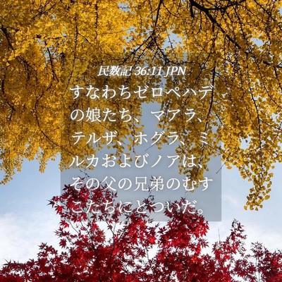 Picture 04 - 民数記 36:11 JPN - すなわちゼロペハデの娘たち、マア - Bible Verse Picture