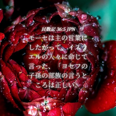 Picture 04 - 民数記 36:5 JPN - モーセは主の言葉にしたがって、イ - Bible Verse Picture