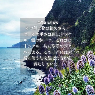 Picture 04 - 民数記 7:37 JPN - その供え物は銀のさら一つ、その重 - Bible Verse Picture