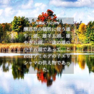Picture 04 - 民数記 7:53 JPN - 酬恩祭の犠牲に使う雄牛二頭、雄羊 - Bible Verse Picture