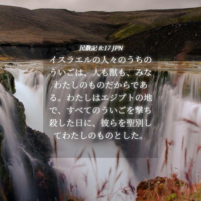 Picture 04 - 民数記 8:17 JPN - イスラエルの人々のうちのういごは - Bible Verse Picture