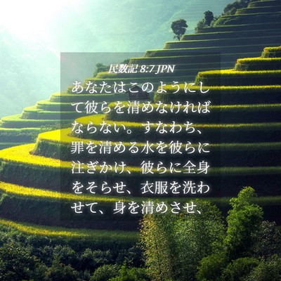Picture 04 - 民数記 8:7 JPN - あなたはこのようにして彼らを清め - Bible Verse Picture