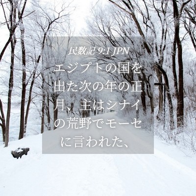 Picture 04 - 民数記 9:1 JPN - エジプトの国を出た次の年の正月、 - Bible Verse Picture