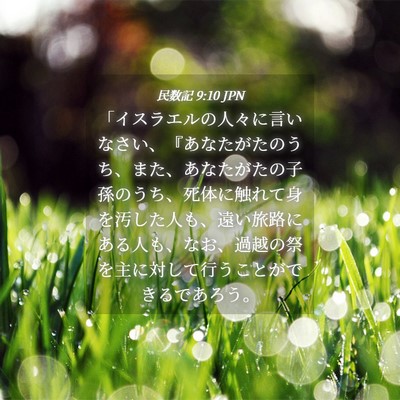 Picture 04 - 民数記 9:10 JPN - 「イスラエルの人々に言いなさい、 - Bible Verse Picture