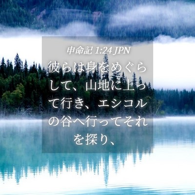 Picture 04 - 申命記 1:24 JPN - 彼らは身をめぐらして、山地に上っ - Bible Verse Picture