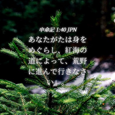 Picture 04 - 申命記 1:40 JPN - あなたがたは身をめぐらし、紅海の - Bible Verse Picture