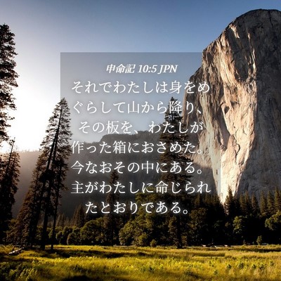 Picture 04 - 申命記 10:5 JPN - それでわたしは身をめぐらして山か - Bible Verse Picture