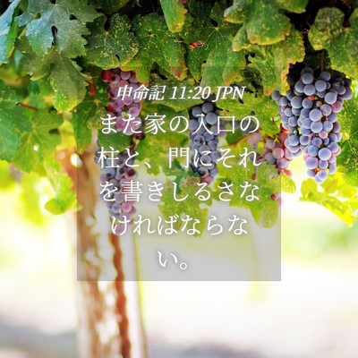 Picture 04 - 申命記 11:20 JPN - また家の入口の柱と、門にそれを書 - Bible Verse Picture