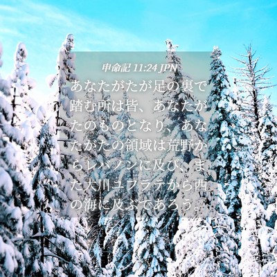 Picture 04 - 申命記 11:24 JPN - あなたがたが足の裏で踏む所は皆、 - Bible Verse Picture