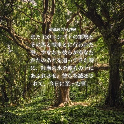 Picture 04 - 申命記 11:4 JPN - また主がエジプトの軍勢とその馬と - Bible Verse Picture