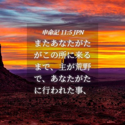 Picture 04 - 申命記 11:5 JPN - またあなたがたがこの所に来るまで - Bible Verse Picture