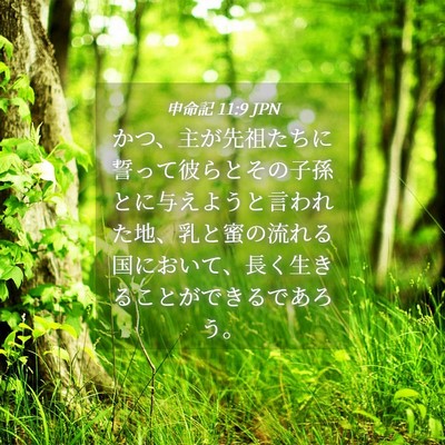 Picture 04 - 申命記 11:9 JPN - かつ、主が先祖たちに誓って彼らと - Bible Verse Picture