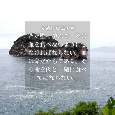 Picture 04 - 申命記 12:23 JPN - ただ堅く慎んで、その血を食べない - Bible Verse Picture