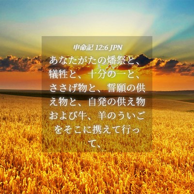 Picture 04 - 申命記 12:6 JPN - あなたがたの燔祭と、犠牲と、十分 - Bible Verse Picture