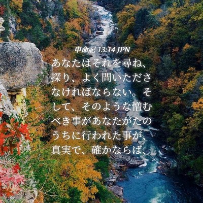 Picture 04 - 申命記 13:14 JPN - あなたはそれを尋ね、探り、よく問 - Bible Verse Picture