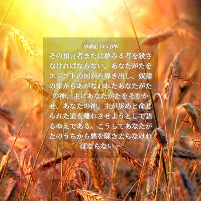 Picture 04 - 申命記 13:5 JPN - その預言者または夢みる者を殺さな - Bible Verse Picture