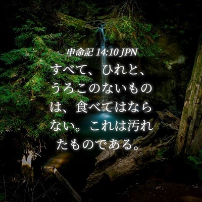 Picture 04 - 申命記 14:10 JPN - すべて、ひれと、うろこのないもの - Bible Verse Picture