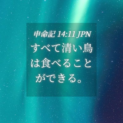 Picture 04 - 申命記 14:11 JPN - すべて清い鳥は食べることができる - Bible Verse Picture