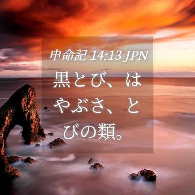 Picture 04 - 申命記 14:13 JPN - 黒とび、はやぶさ、とびの類。 - Bible Verse Picture