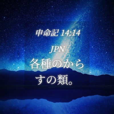 Picture 04 - 申命記 14:14 JPN - 各種のからすの類。 - Bible Verse Picture