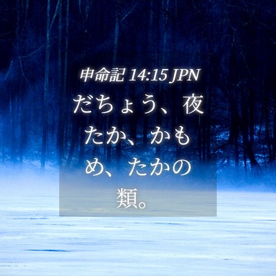 Picture 04 - 申命記 14:15 JPN - だちょう、夜たか、かもめ、たかの - Bible Verse Picture